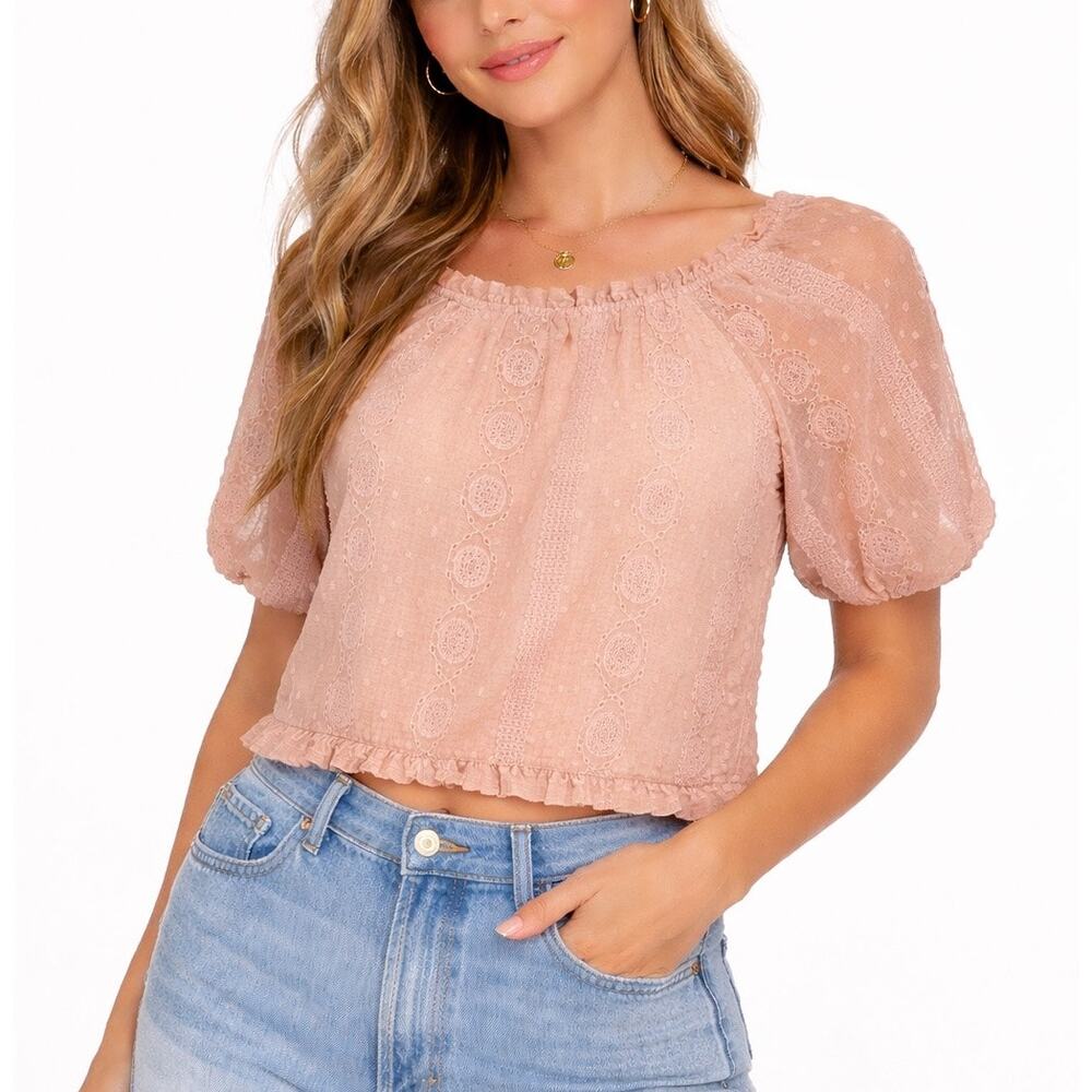 Coquette Pink Eyelet Fairy Blouse Zara Balloon Puff Sleeve Blouse XS Dreamy